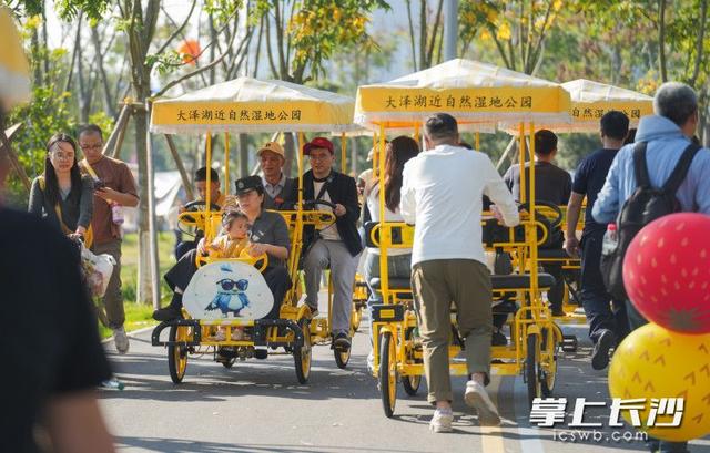 来大泽湖！乐享周末好时光｜组图