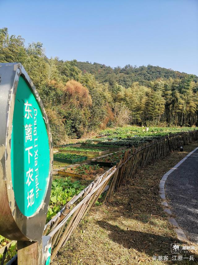 写点生活｜长兴水口疗养记