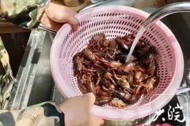 唯有美食不可辜负，男子坚持烹饪龙虾30年图片