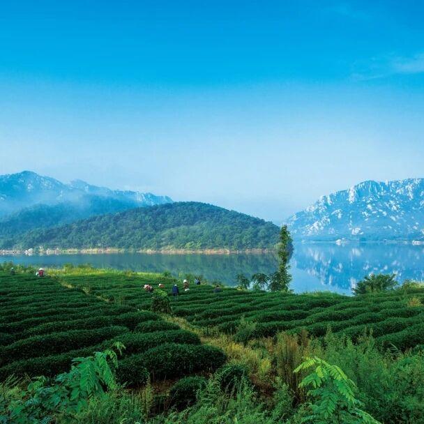 【乳山文旅福利】持乳山南站高铁票，这些景区门票优惠轻松享！