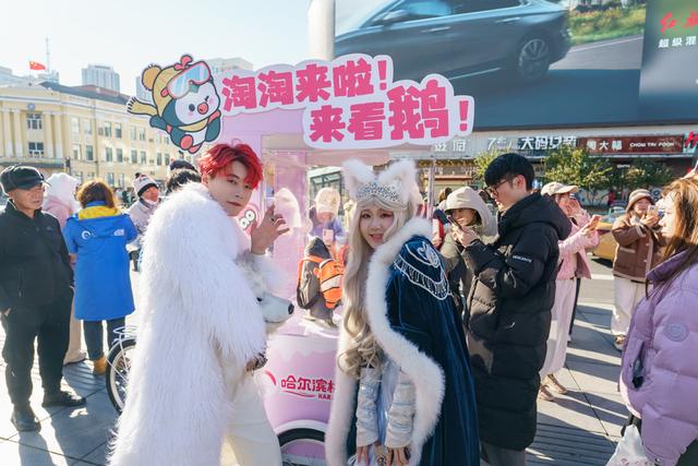全城偶遇！哈尔滨被“淘学企鹅”小分队占领啦！