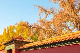 北京午后阵风依然较大，夜间最低仅5度，气象专家喊你穿秋裤啦！图片