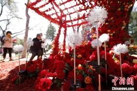 首届北京朝阳花园节启幕 朝阳已打造68处无界公园图片