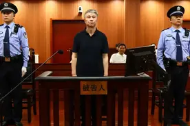 当过5年市长、3年市委书记，崔洪刚受审图片