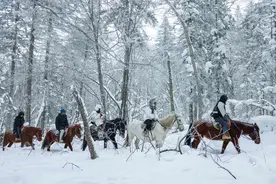 长白山雪国之旅图片
