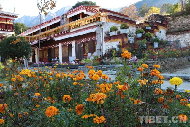 “云端藏寨”走向世界 基卡依村交出幸福答卷