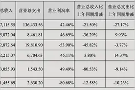 长江证券上半年净利润下降28.87%，主营仅资管业务营收同比正增长图片