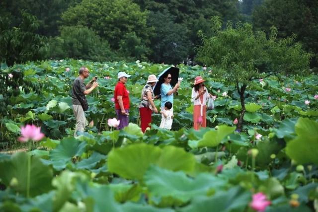 最低不到二十元！郑州出发坐火车避暑好去处→