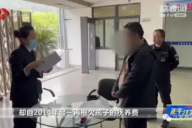 亲生儿子的抚养费都要赖账？法院：判刑！图片