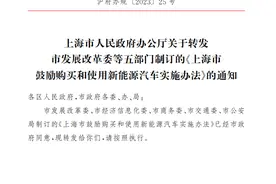 上海明年继续送绿牌，享受人群收窄！此前曾传停发新能源牌图片