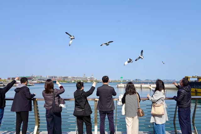 赞！赞！赞！全国网媒总编：让“仙境海岸”被更多人看得见、记得住