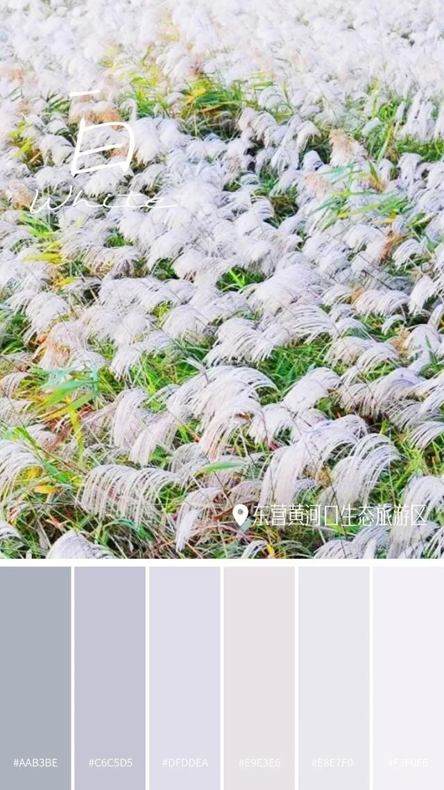 山东秋天的限定「色卡」，你集齐了吗？