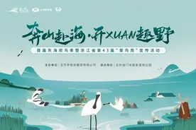 首届东海观鸟季，即将来袭！图片