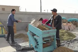 乡村振兴看新疆丨墨玉村民葡萄干不愁销  合作社里增收忙图片