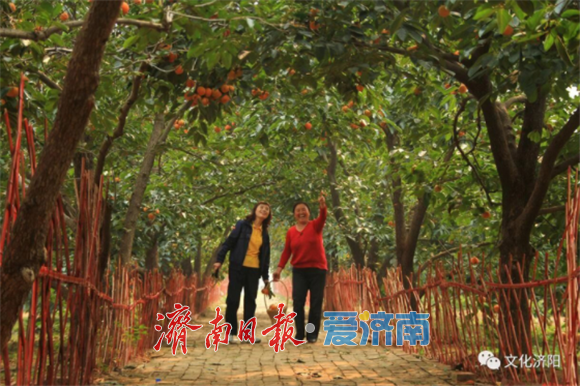 藏在身边的绚丽秋景图！解锁济南区县秋日乡野的诗与远方