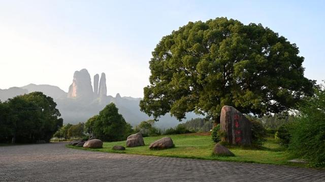 熟悉的风景里藏着最陌生的奇观，只待一次全新的回眸！江郎山景区惊现世上罕见自然大佛