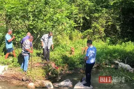 野猪闯进村子啃食庄稼，襄阳保康民警组织村民将其捕杀图片