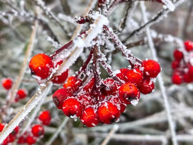 昼夜温差较大，宁德体验一天跨两季