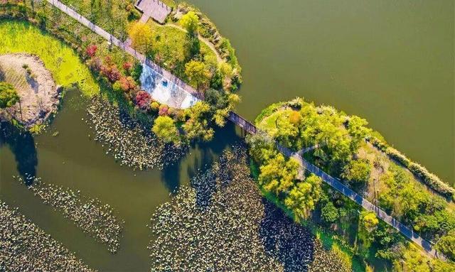 🧡宿城，已经美成这样！