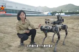 “机器狗”过气了？“机器狼”亮相珠海航展图片