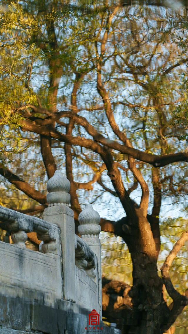 收藏！故宫质感壁纸上新