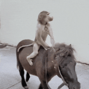 被山寨库库扇嘴巴，中产品牌越活越窝囊？？