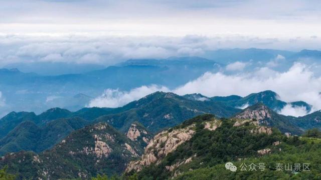 泰山雨霁：云雾织仙境，霞光染群峰，这泼墨山水里藏着夏日最治愈的奔赴