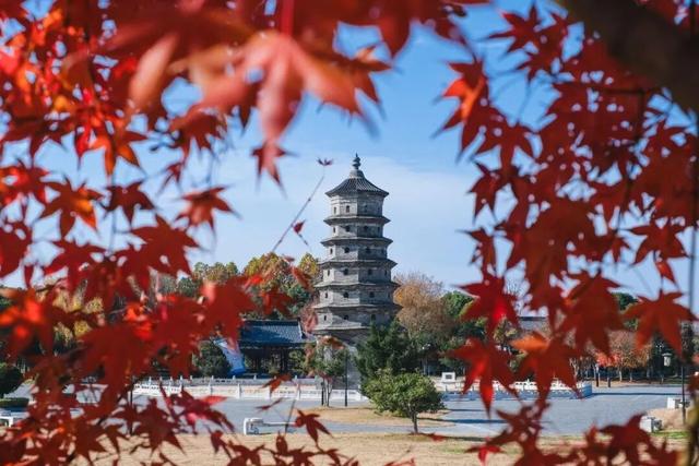 抓紧出发！错过就要等明年！