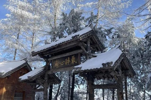 洛阳的第一场雪，来了！