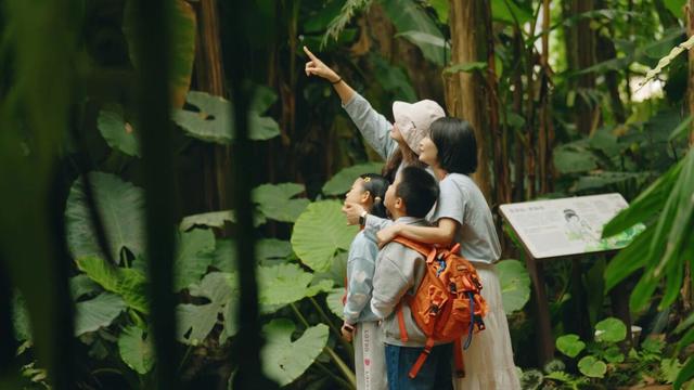 旅居盘龙 | 大世博生态科普——大自然里的奇妙亲子之旅