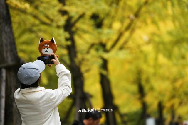 图库推荐丨贵阳：初冬时节好风景