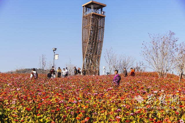 这5处宝藏景点 邀您一起邂逅诗意襄阳