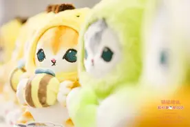 超多哈基米集结 猫福珊迪快闪店亮相西单大悦城图片