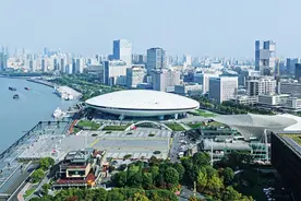 金字塔尖的“国家队”，能否诞生下一个“浦东”？图片