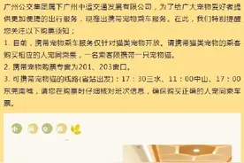 铲屎官来看！广州一客运站可带猫乘车 目前有3条带猫路线图片