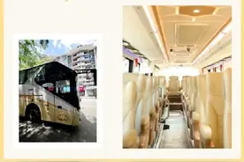 铲屎官来看！广州一客运站可带猫乘车 目前有3条带猫路线图片