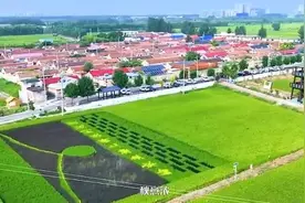 庆丰收促和美！济南将举办51场系列活动，快来看看都有啥图片