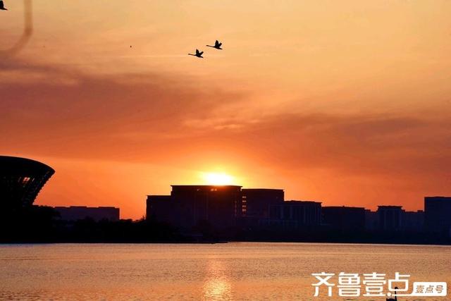 北龙湖湿地公园天鹅遇上橘色朝霞