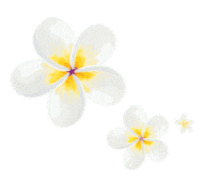 丰顺两日游，玩疯了！漂流、温泉、古村落全打卡，这趟值了