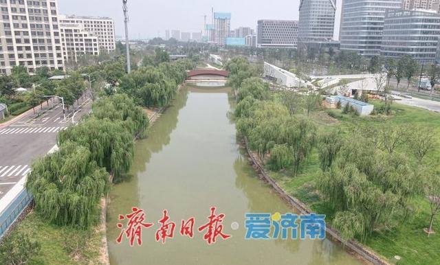 “杨家河公园”施工区域围挡拆除，将于近期正式对外开放