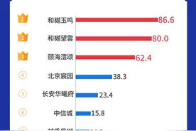 每经数读｜全国已有3个项目销售额超80亿元，前4月单盘销冠在北京图片