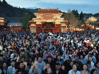 绝美！10万㎡秋日花海浪漫盛放，一起摇滚| 北京音乐地图