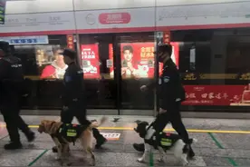 春节全员在岗，杭州地铁“汪汪队”又成“显眼包”，哪里可以偶遇？图片