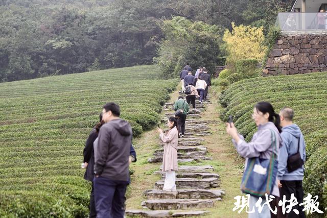 2025全国地方媒体总编辑看无锡｜绿道串景，龙池山交出“低碳文旅”新答卷