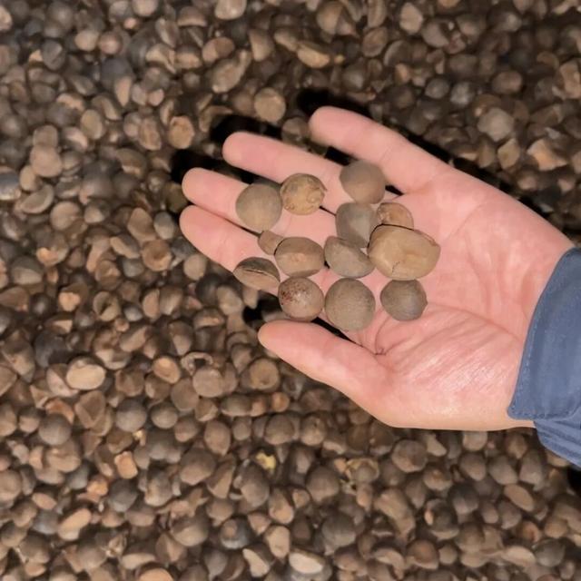 永州朋友到了！明天市中心见！