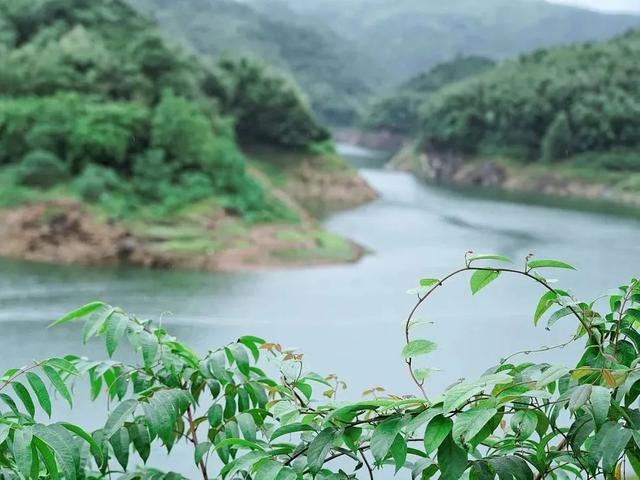 遛娃、钓鱼、吃海鲜……福鼎这些地方适合“全家总动员”