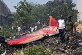 印航波音787空难已致265人死亡，专家：发动机故障或是事故发生主要原因图片