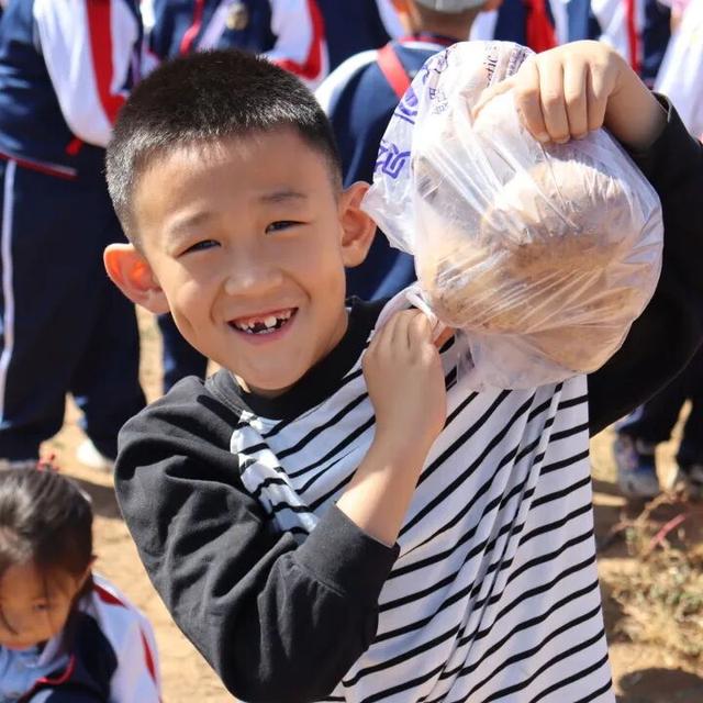 来呼和浩特捡土豆吧！内蒙古的秋天是可以“捡”回家吃的