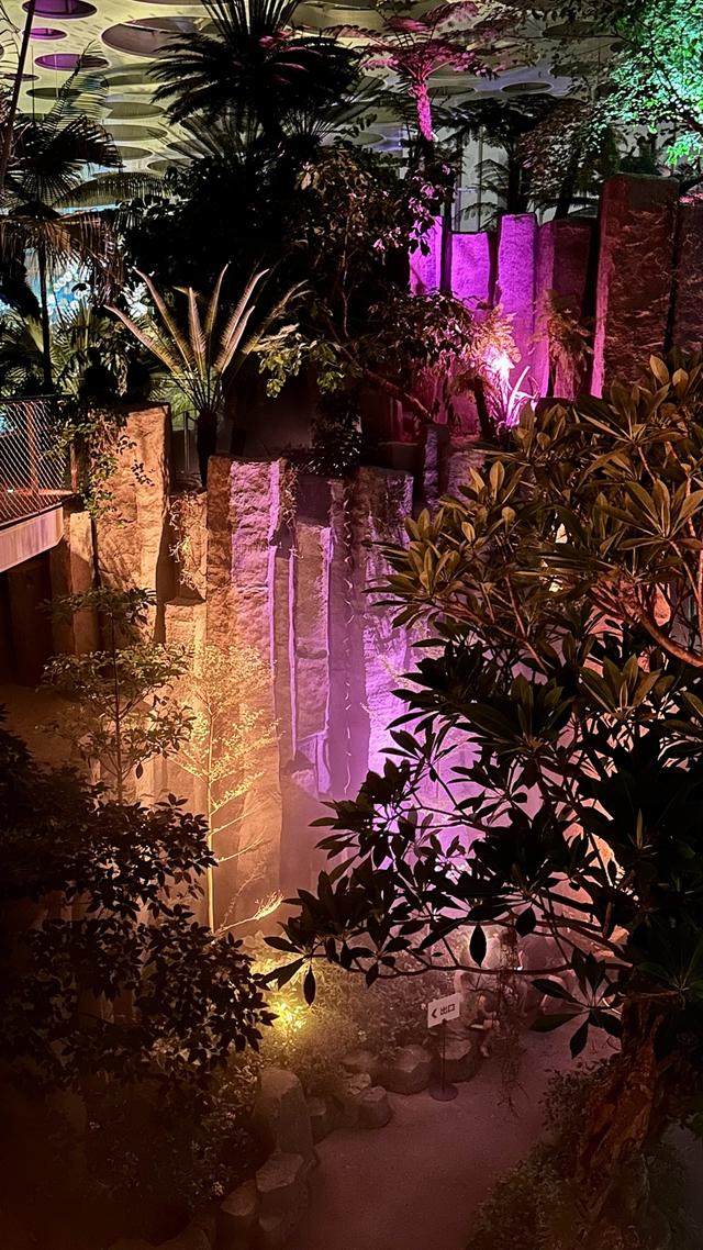 下雨也挡不住看露天电影的热情！上海世博文化公园昨晚点亮“璀璨之夜”