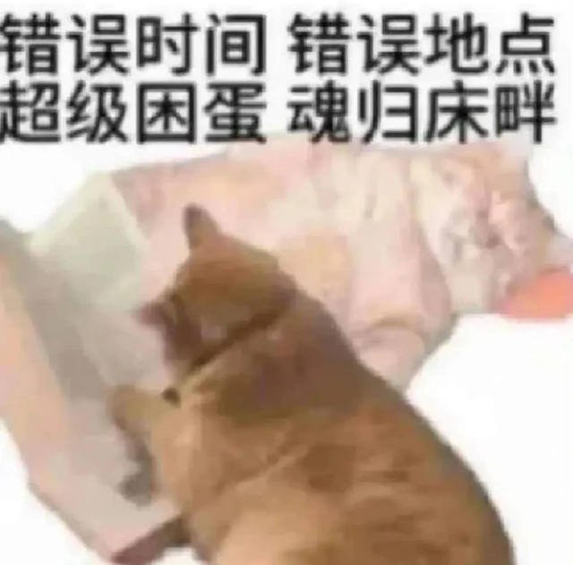 为什么在沙发上睡着很容易，在床上睡着很难？
